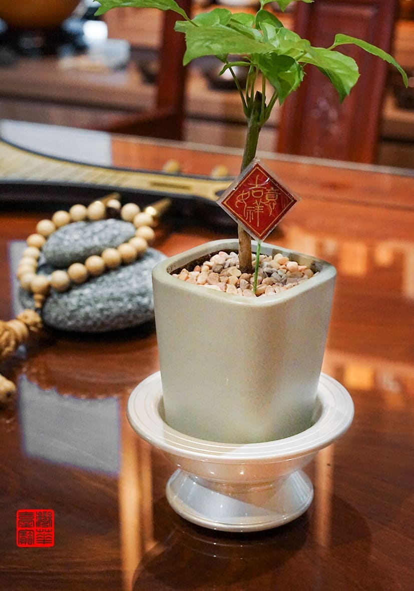 佛具-御花器-寶華-銅器-香爐-佛燈-供杯-茶几